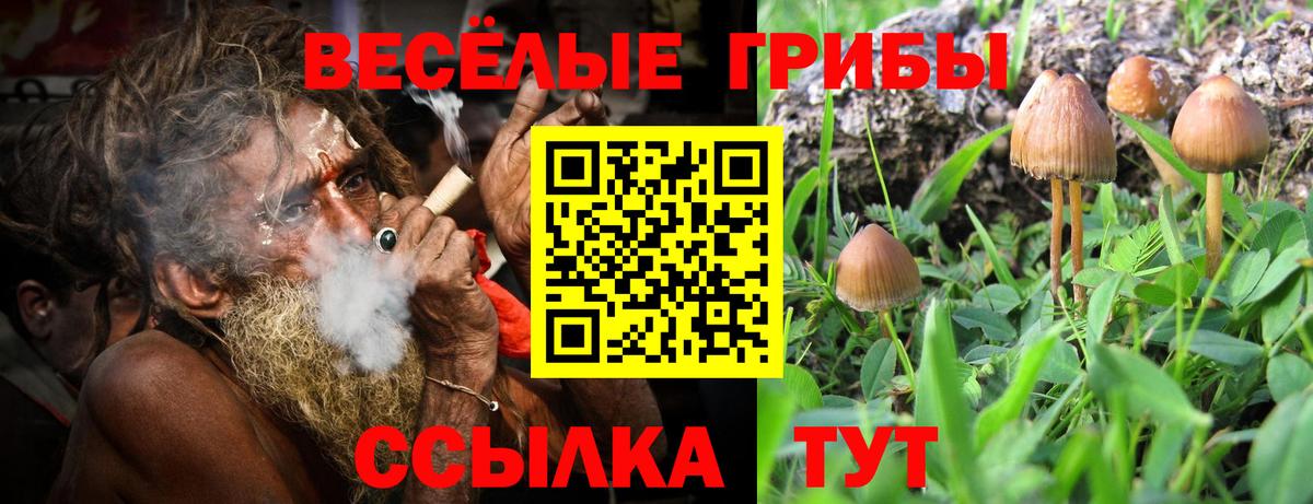Отрадное  Галлюциногенные грибы прущие грибы  Вход с VPN 